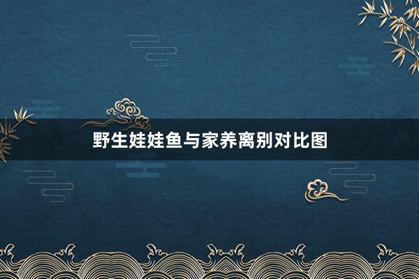 野生娃娃鱼与家养离别对比图